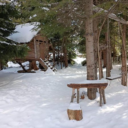 "Моето Любимо Място", Смолянски Езера - "My Favorite Place", Smolyan Lakes公寓 外观 照片