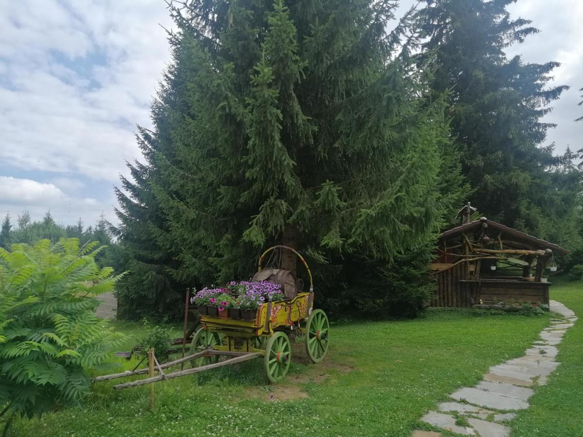 "Моето Любимо Място", Смолянски Езера - "My Favorite Place", Smolyan Lakes公寓 外观 照片