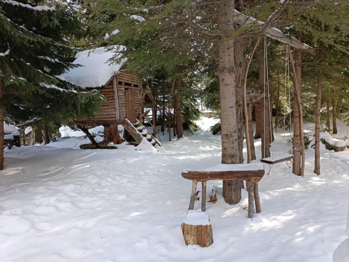 "Моето Любимо Място", Смолянски Езера - "My Favorite Place", Smolyan Lakes公寓 外观 照片