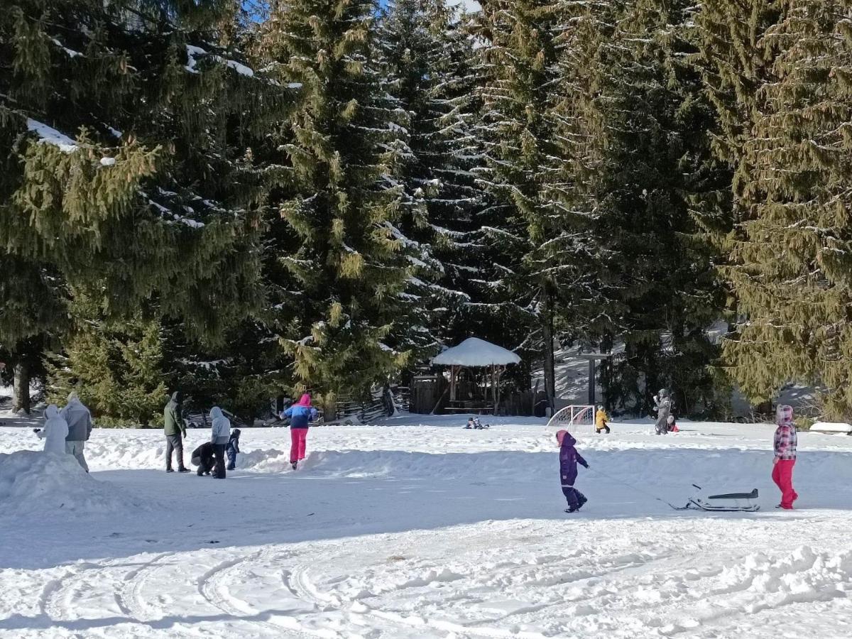 "Моето Любимо Място", Смолянски Езера - "My Favorite Place", Smolyan Lakes公寓 外观 照片